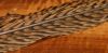 plume de queue de faisan dore (plume centrale, entiere)