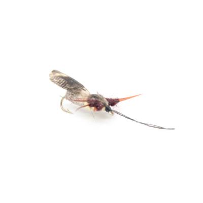 stonefly mouche de pierre realiste (mouche seche)