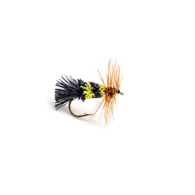 sedge chevreuil Goddard caddis jaune et noir (mouche seche)