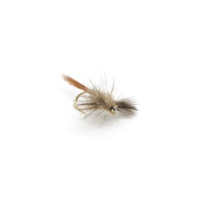 spent cdc oreille de lievre (mouche seche en cdc) 