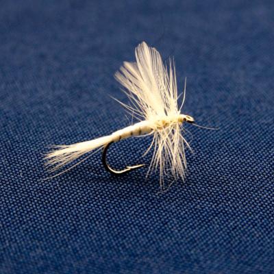 mouche blanche et argent (mouche seche)